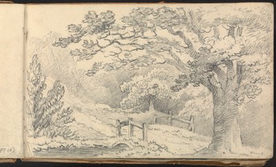 Album di studi di paesaggi e figure: Paesaggio rurale con un ponte da Thomas Bradshaw
