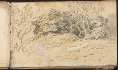 Album di studi di paesaggi e figure: schizzo di alberi e rocce da Thomas Bradshaw