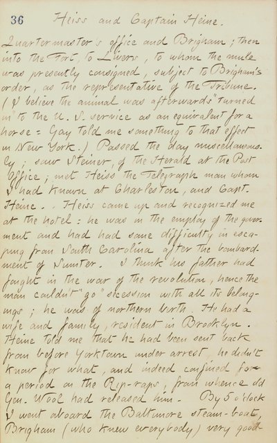Diari di Thomas Butler Gunn - Volume 20, pagina 44, 4 giugno 1862 da Thomas Butler Gunn