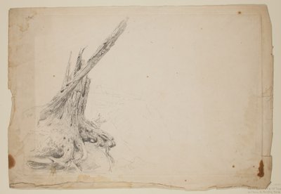 Tronco rotto di un albero da Thomas Cole