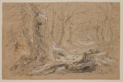 Alberi in inverno con uomo in piedi su un torrente ghiacciato da Thomas Cole