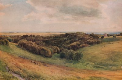 Parco di Arundel, 1874 da Thomas Collier