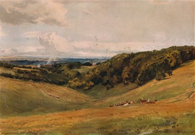 Parco di Arundel, con cervi, 1880 da Thomas Collier