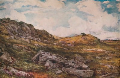 Blythburgh Common, 1888 da Thomas Collier