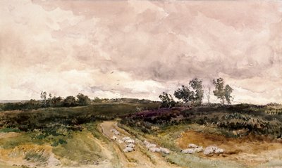 Scena di brughiera, 1878 da Thomas Collier