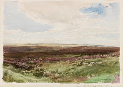 Brughiera vicino a Hart Leap Well, Yorkshire da Thomas Collier