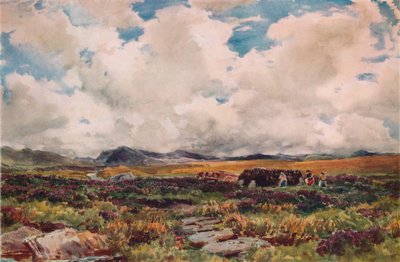 Impilare la torba, Festiniog, Galles del Nord, 1881 da Thomas Collier