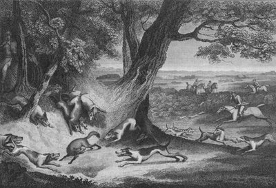 La morte della volpe, 1793 da Thomas Cook
