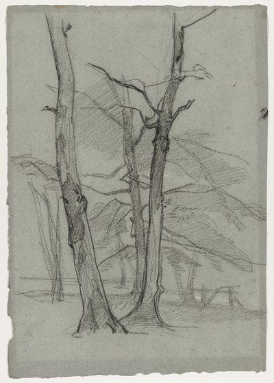 Studio paesaggistico con alberi, c. 1870-1875 da Thomas Couture