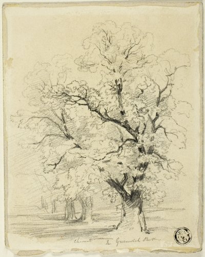 Ches[t]nut nel Parco di Greenwich da Thomas Creswick