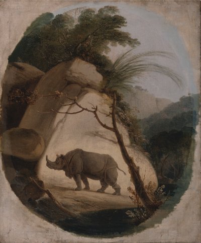 Il rinoceronte indiano da Thomas Daniell