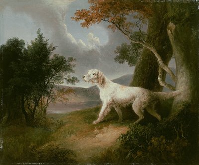 Paesaggio con Cane da Thomas Doughty