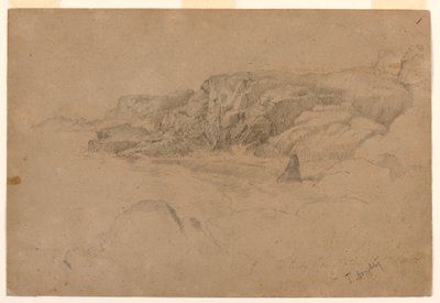 Studio dalla Natura da Thomas Doughty