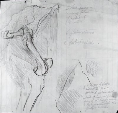 Disegno anatomico da Thomas Eakins