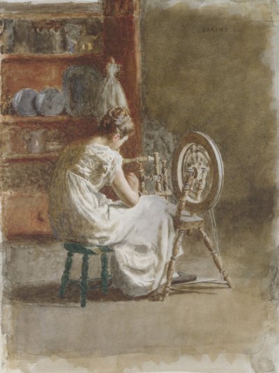 Fatto in casa da Thomas Eakins