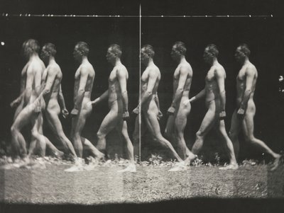 [Uomo che cammina, fotografia stroboscopica], 1880s, stampata 1930s-40s da Thomas Eakins