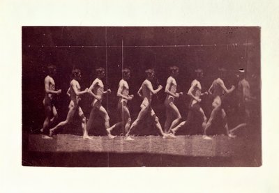 Fotografie di Marey Wheel di George Reynolds da Thomas Eakins