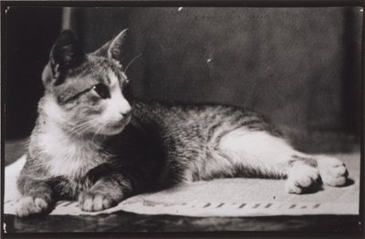  da Thomas Eakins