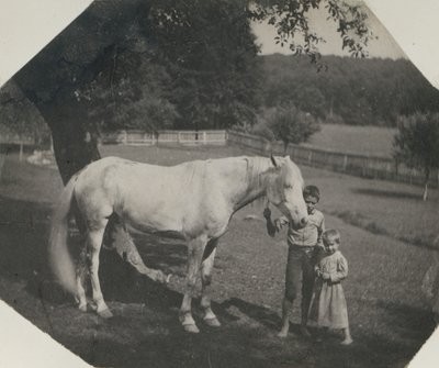Il cavallo Billy di Thomas Eakins e due bambini Crowell ad Avondale, Pennsylvania, ca. 1892 da Thomas Eakins