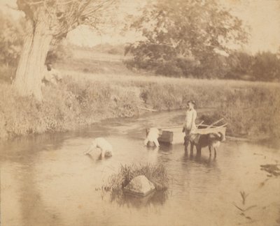 Tre bambini e un cane che giocano nel ruscello da Thomas Eakins