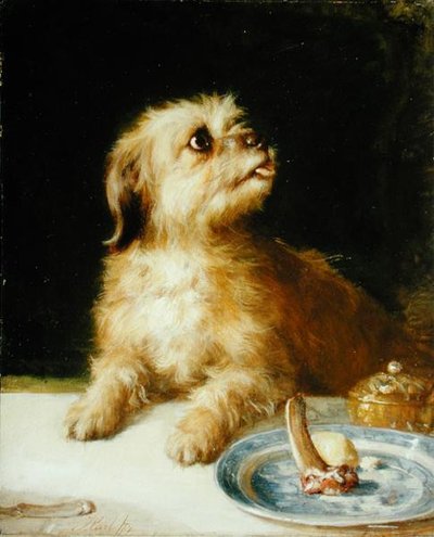 Norfolk Terrier da Thomas Earl