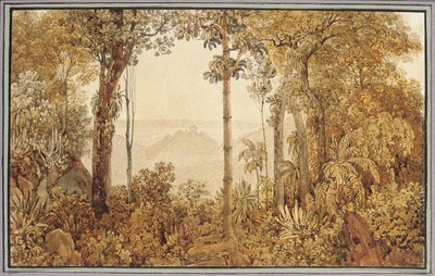 Veduta su Rio de Janeiro dalla foresta di Tijuca da Thomas Ender
