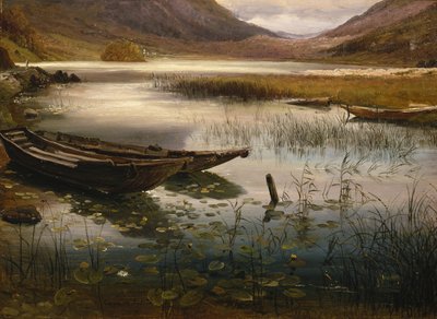 Barche e ninfee da Thomas Fearnley