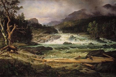 Labrofossen vicino a Kongsberg da Thomas Fearnley