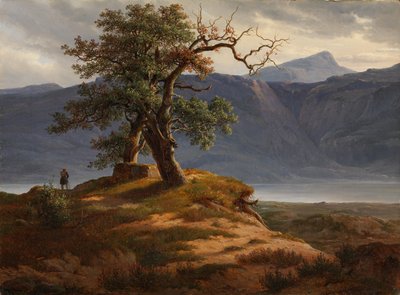 Paesaggio con viaggiatore da Thomas Fearnley