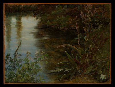  da Thomas Fearnley