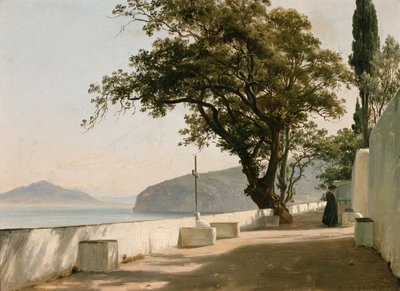 Terrazza con quercia di pietra, Sorrento da Thomas Fearnley