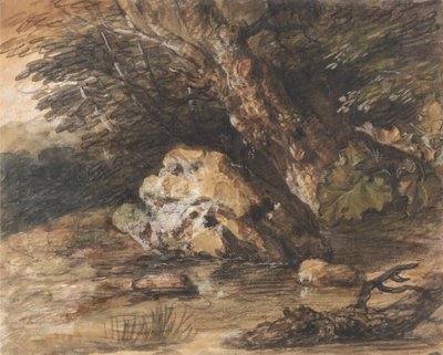 Una pozza nel bosco con rocce e piante da Thomas Gainsborough