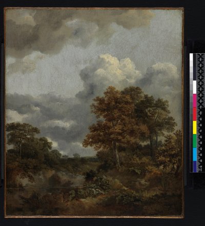 Paesaggio con una piscina da Thomas Gainsborough