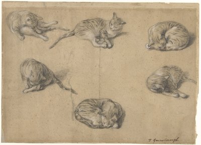 Sei studi di un gatto da Thomas Gainsborough