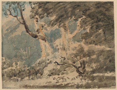 Il margine di un bosco da Thomas Girtin