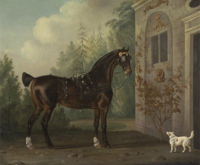 Cavallo da Carrozza Baio Scuro di Lord Abergavenny con un Terrier da Thomas Gooch