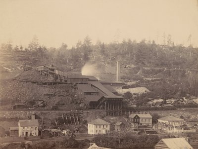 Breaker di Eaton e Co., Archibald, Del.  Hudson Canal Co. 1863-1865 (foto) da Thomas H. Johnson