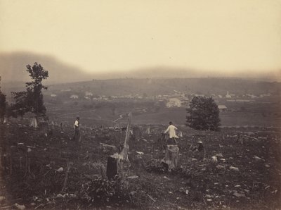 Waymart, Del. & Hudson Canal Co. da Thomas H. Johnson