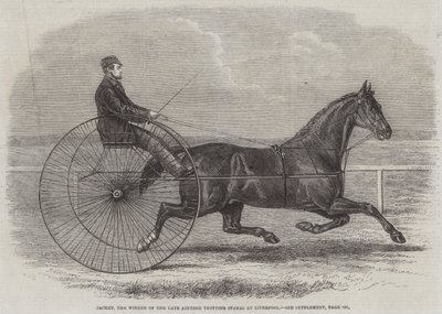 Jackey, il vincitore delle ultime Aintree Trotting Stakes a Liverpool da Thomas Harrington Wilson
