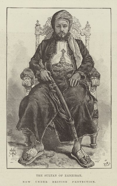 Il Sultano di Zanzibar, ora sotto protezione britannica da Thomas Harrington Wilson