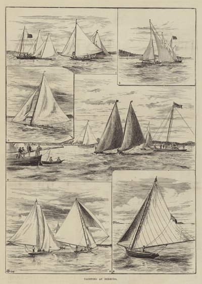 Regata a Bermuda da Thomas Harrington Wilson