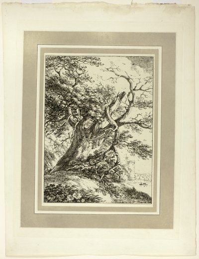 Vecchio Albero, dal primo numero di Specimens of Polyautography da Thomas Hearne