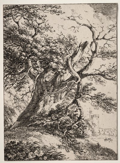 Esemplari di Poliautografia: Paesaggio con una quercia da Thomas Hearne