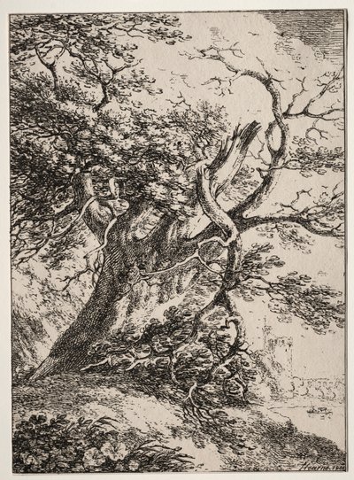 Specimens of Polyautography: Paesaggio con una quercia, 1803 da Thomas Hearne
