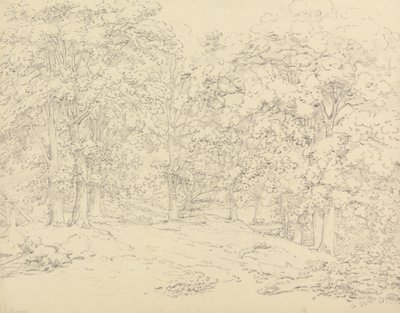 Alberi nel parco di Ashtead, Surrey da Thomas Hearne
