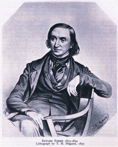 Edward Forbes (1815-1854), Nature in Britain pubblicato da Collins, 1946 da Thomas Herbert Maguire