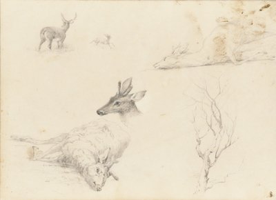 Taccuino di schizzi di paesaggi e soggetti animali, 1860-64 da Thomas Hewes Hinckley