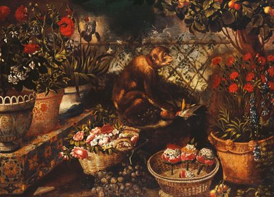 Una scimmia in un giardino recintato da Thomas Hiepes