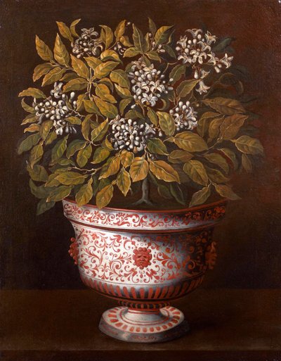 Vaso di terracotta con un cespuglio di arancio in fiore da Thomas Hiepes