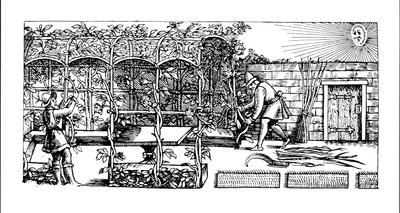 Pergolato costruito come riparo dal sole, da 